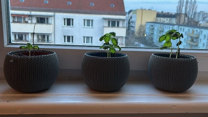Bild Woche 3 und 4